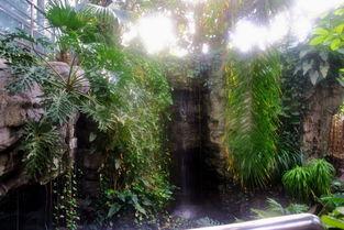 植物园在线观看,在线探索植物园的奇妙之旅 第1张 植物园在线观看,在线探索植物园的奇妙之旅 第1张