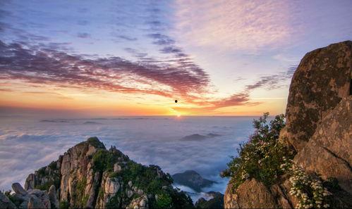 泰山1在线观看,巅峰对决，在线观看，震撼来袭！  第2张